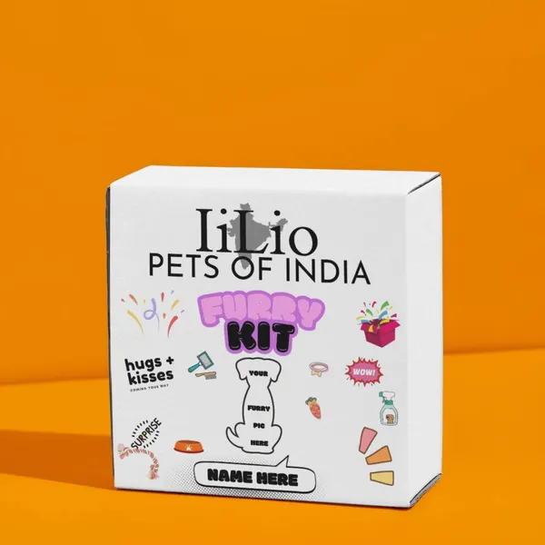 Gift_Customized_Pet_Products_Box_With_Essential_Products